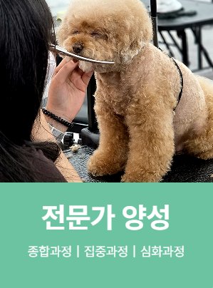 전문가 양성 종합·집중·심화과정