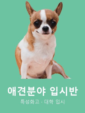 애견분야 입시반