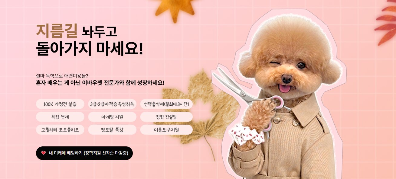지름길 놔두고 돌아가지 마세요! 설마 독학으로 애견미용을? 혼자 배우는 게 아닌 이바우펫 전문가와 함께 성장하세요. 100% 가정견 실습, 3급·2급 자격증 속성취득, 선택출석제(일 최대 3시간), 취업 연계, 마케팅 지원, 창업 컨설팅, 고퀄리티 포트폴리오, 펫토탈 특강, 미용도구 지원. 장학지원 선착순 마감중.