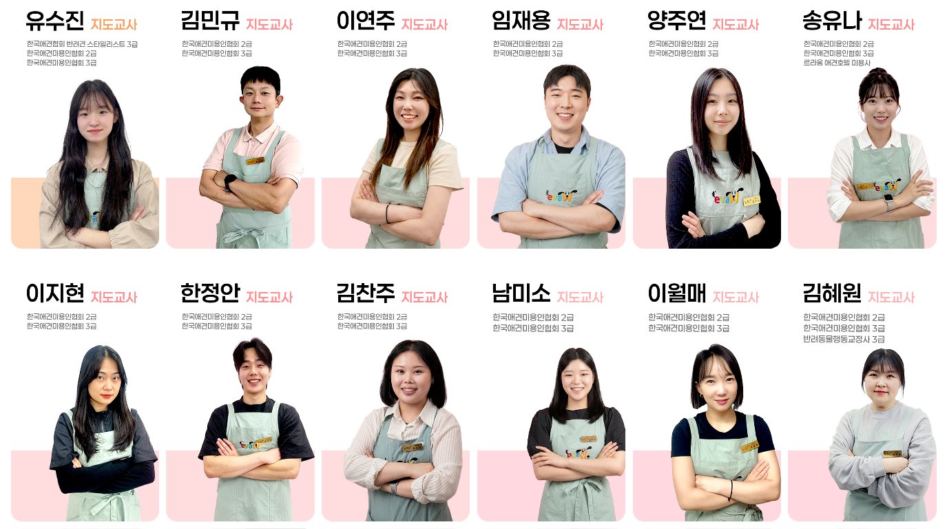 이바우펫 강사진 소개 4 — 지도교사진